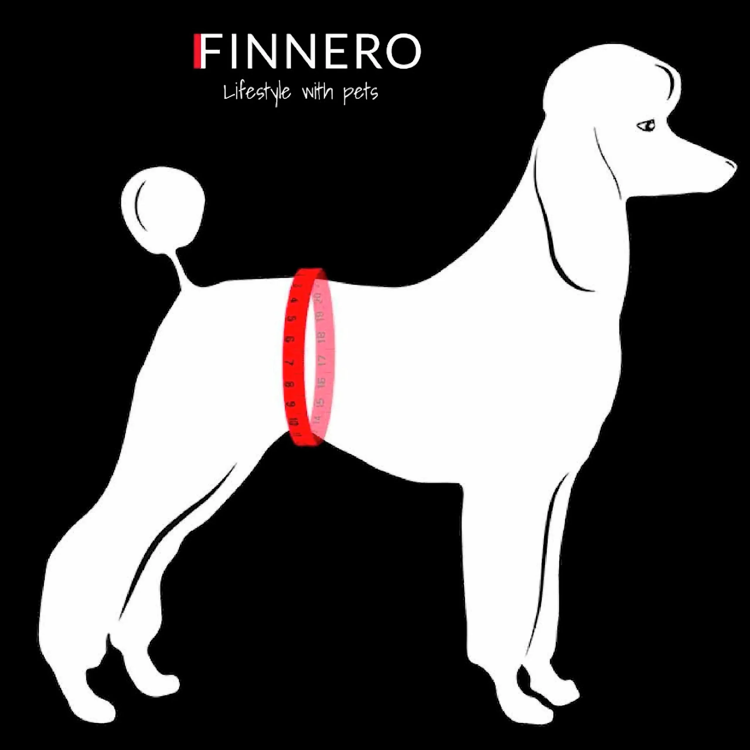 Tikkydd Baerina>Finnero Best