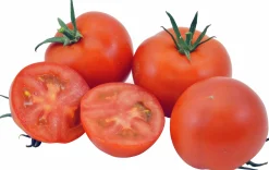 Tomatplantor Sortmix>Danblumen Outlet