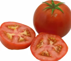 Tomatplantor Sortmix><noscript><img width=