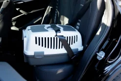 Transportbur Gulliver Grå L 61x40x38cm><noscript><img width=