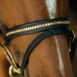 Träns Clincher Aachen><noscript><img width=