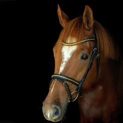 Träns Clincher Aachen><noscript><img width=