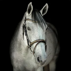 Träns Clincher Aachen><noscript><img width=