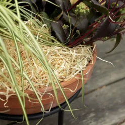 Träull Hasselfors för köksträdgården 850g>Hasselfors Garden Clearance