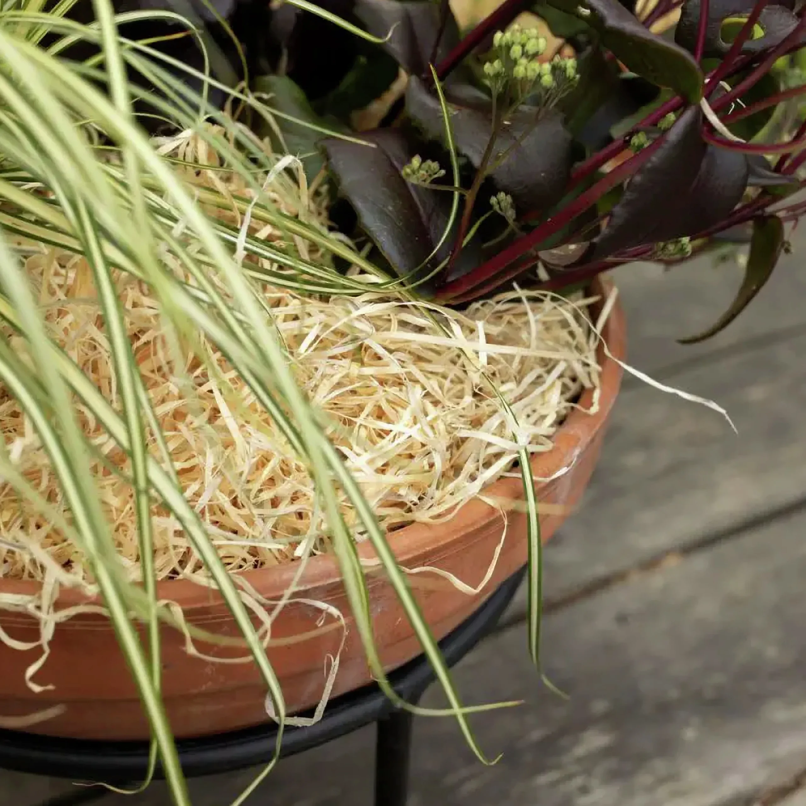 Träull Hasselfors för köksträdgården 850g>Hasselfors Garden Clearance
