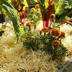 Träull Hasselfors för köksträdgården 850g>Hasselfors Garden Clearance