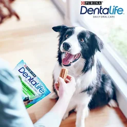 Tuggpinnar DentaLife M 24-p><noscript><img width=