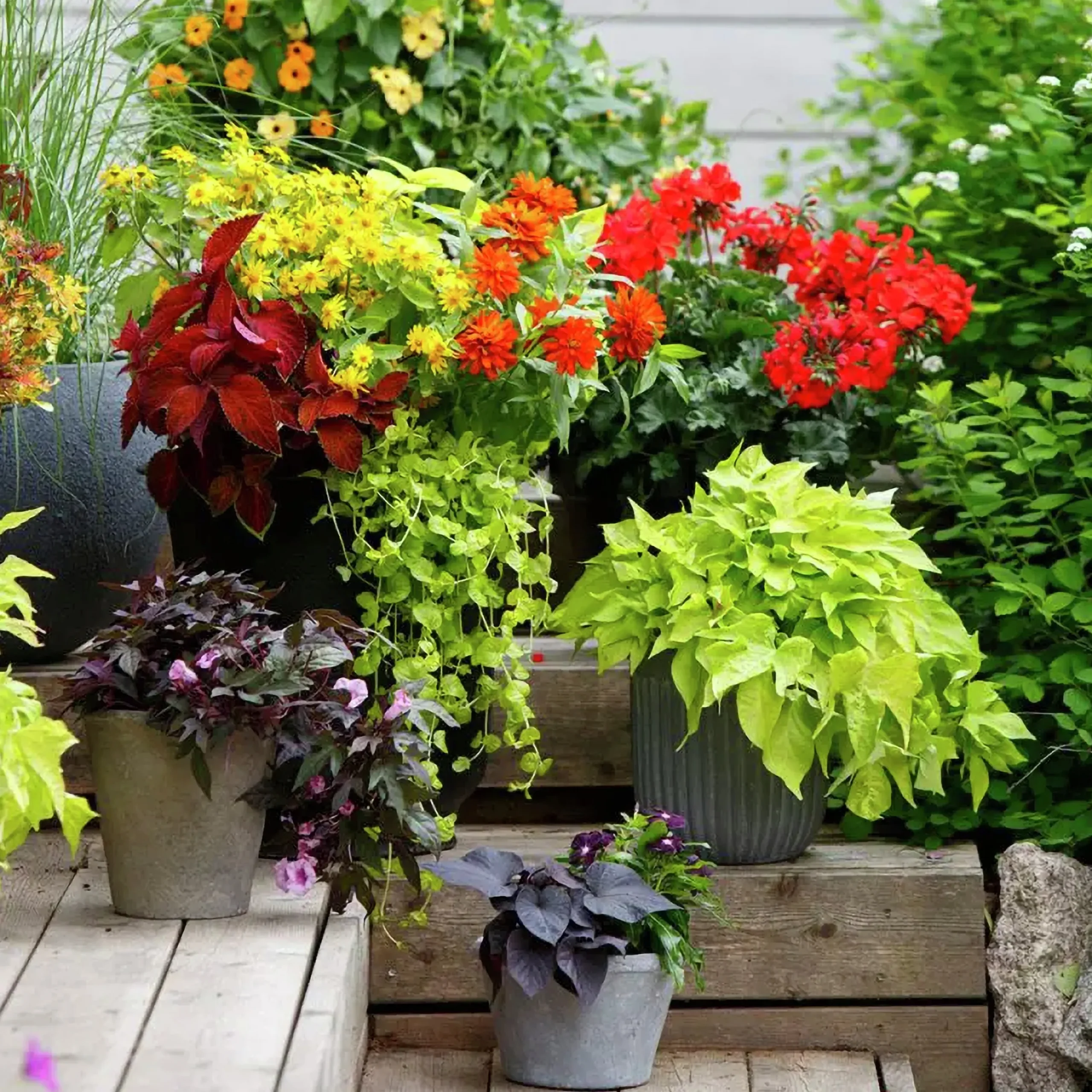 U-Jord Urnjord & Krukjord Hasselfors 50L>Hasselfors Garden Clearance