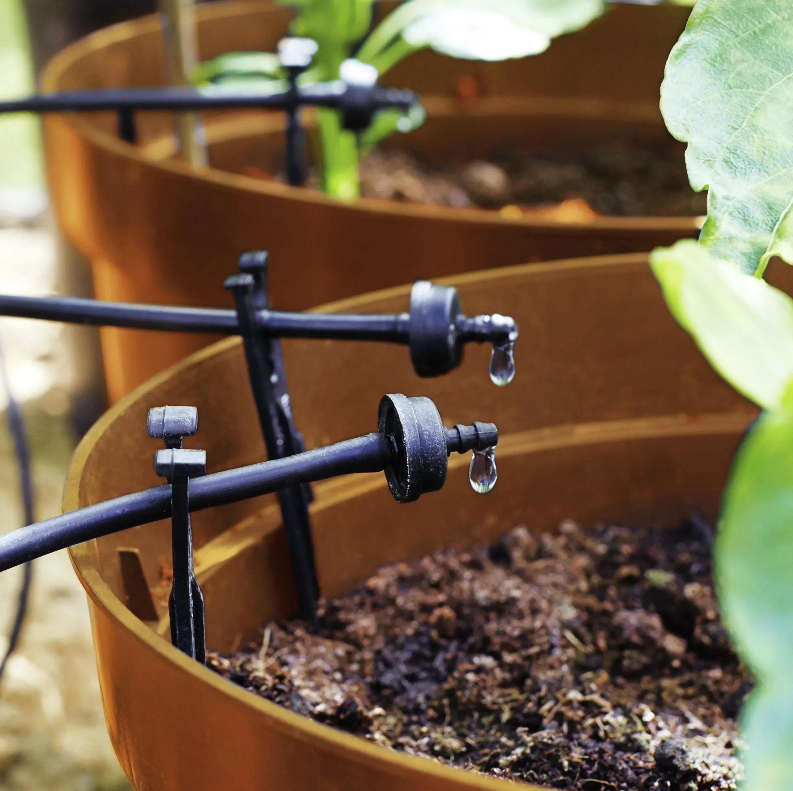 Utbyggnadsset till EcoAqua DripSystem>GreenLine New