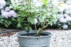 Utbyggnadsset till EcoAqua DripSystem><noscript><img width=