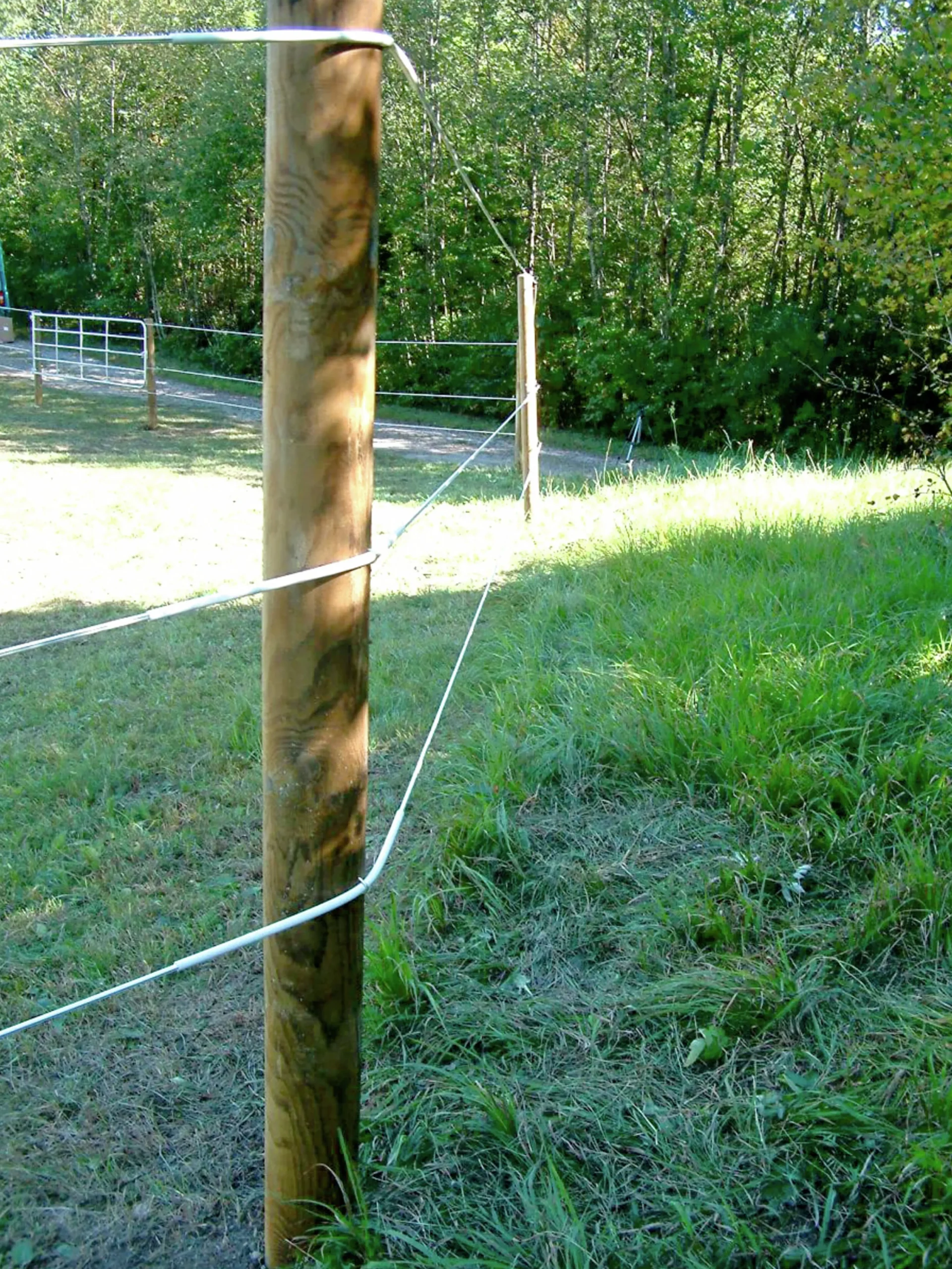Vajertråd Premium Horse Wire Vit Ø8mmx250m>Kerbl Clearance