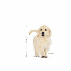 Valpfoder Golden Retriver Puppy 12kg>Royal Canin Outlet
