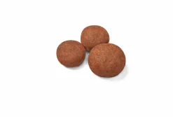 Valpfoder Medium Puppy 10kg>Royal Canin New