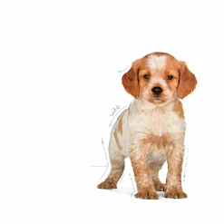 Valpfoder Medium Puppy 10kg><noscript><img width=