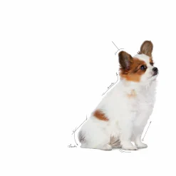 Valpfoder X-Small Puppy 1,5kg><noscript><img width=