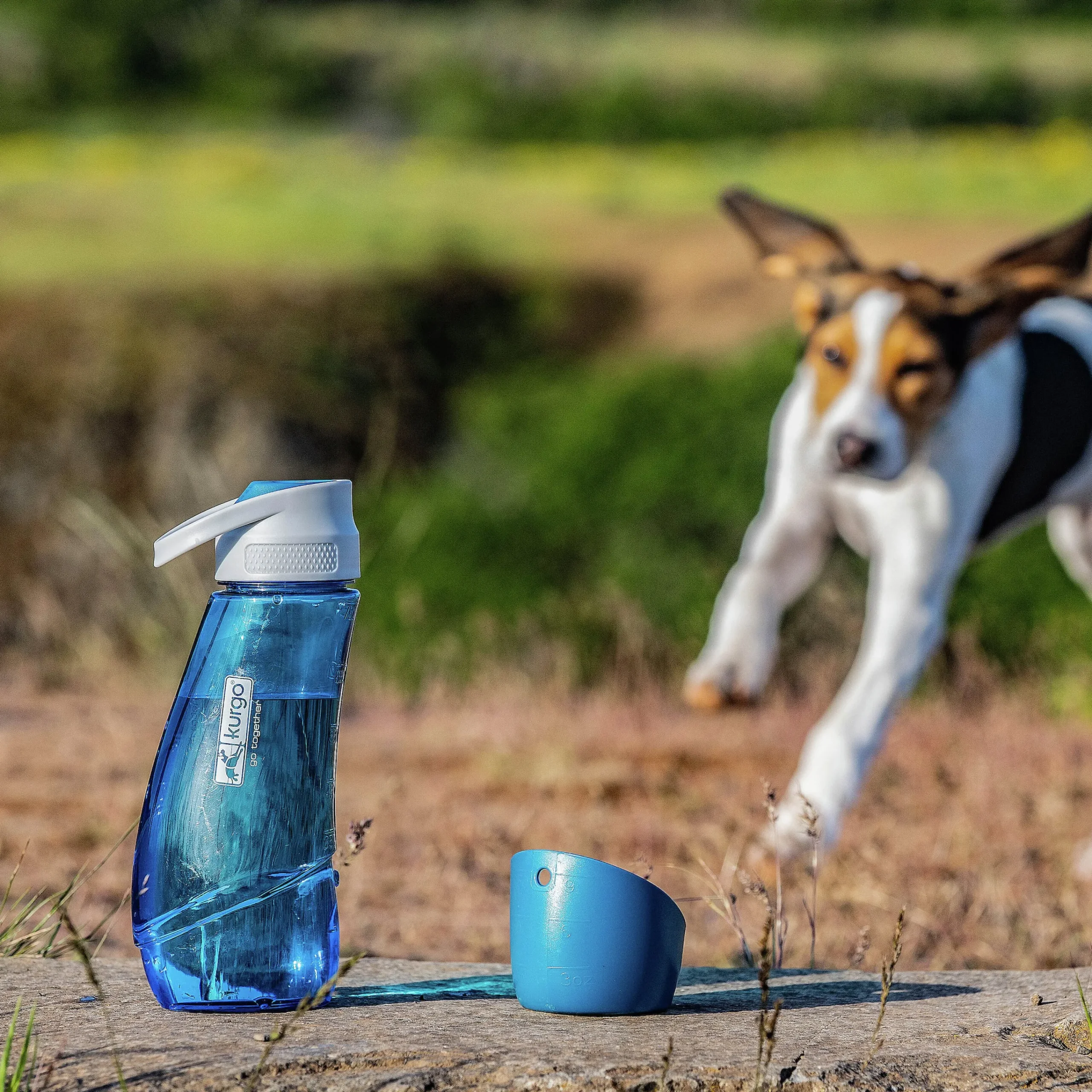 Vattenflaska Hund Blå 750ml>Kurgo Outlet