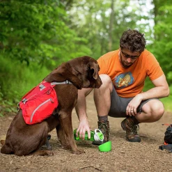 Vattenflaska Hund Grön 750ml>Kurgo Online