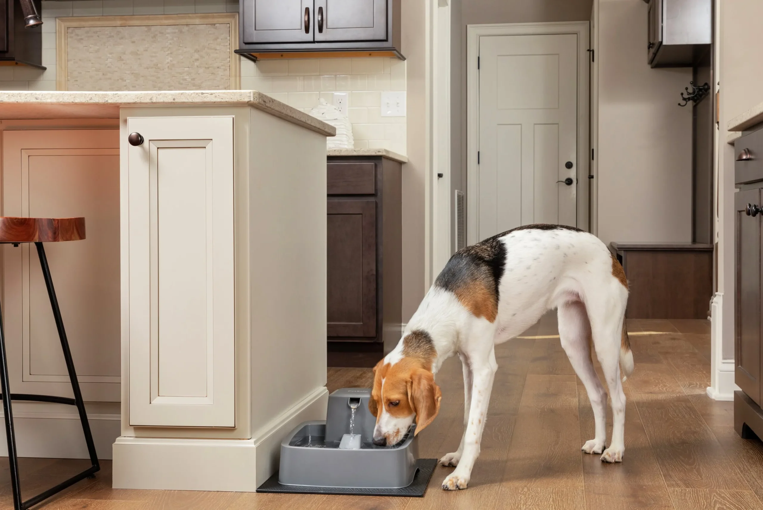 Vattenfontän Drinkwell Plast Grå 3,7L>Petsafe Clearance