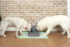 Vattenfontän Drinkwell Plast Grå 7,5L>Petsafe