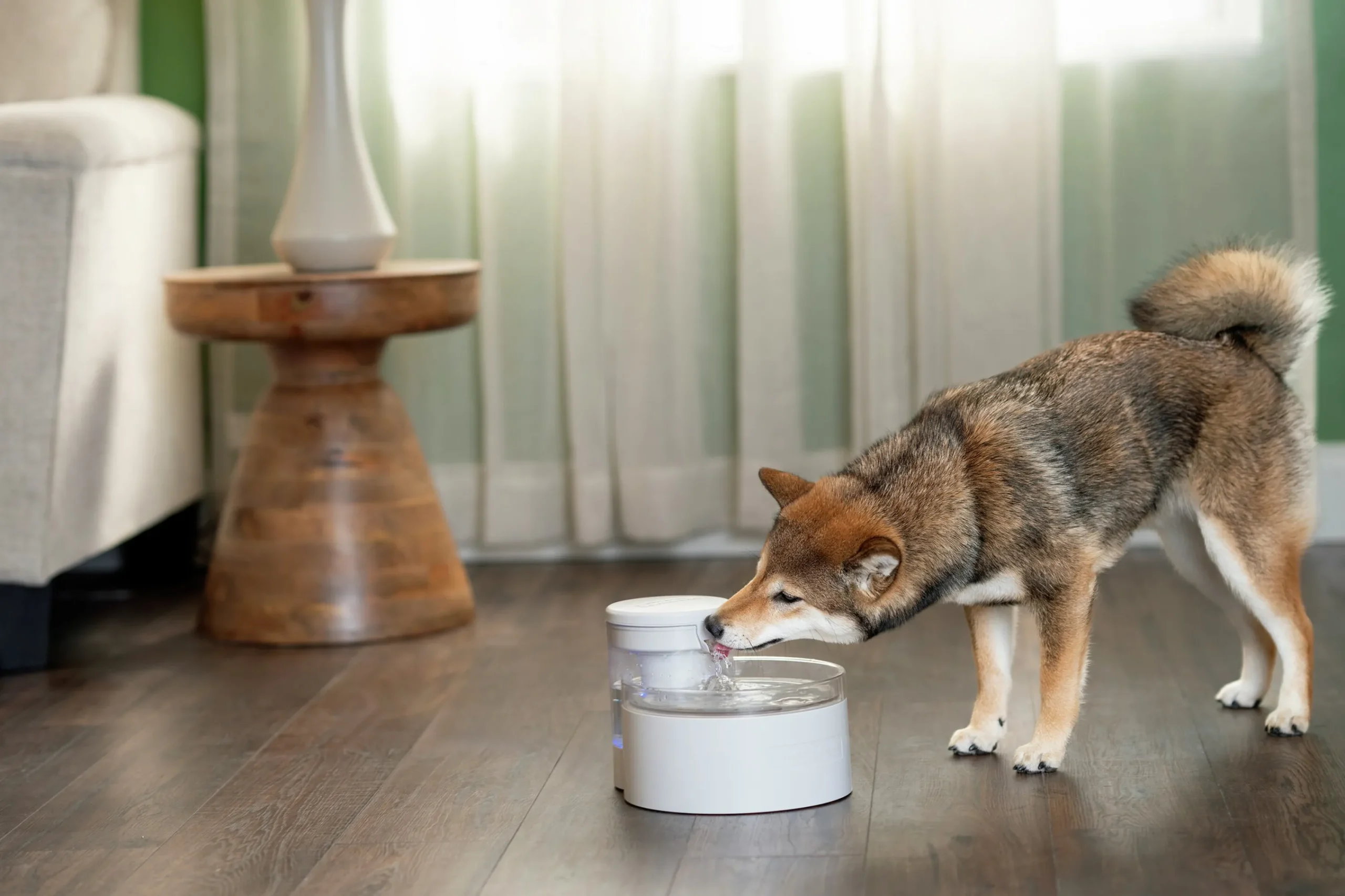 Vattenfontän Outlast Pumpfri 1,7L>Petsafe Online