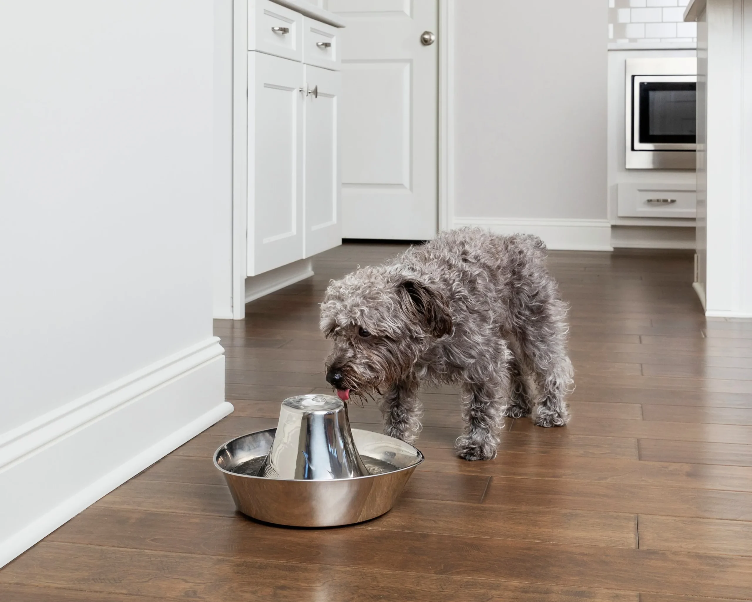Vattenfontän Seaside Rostfri 1,7L>Petsafe Online