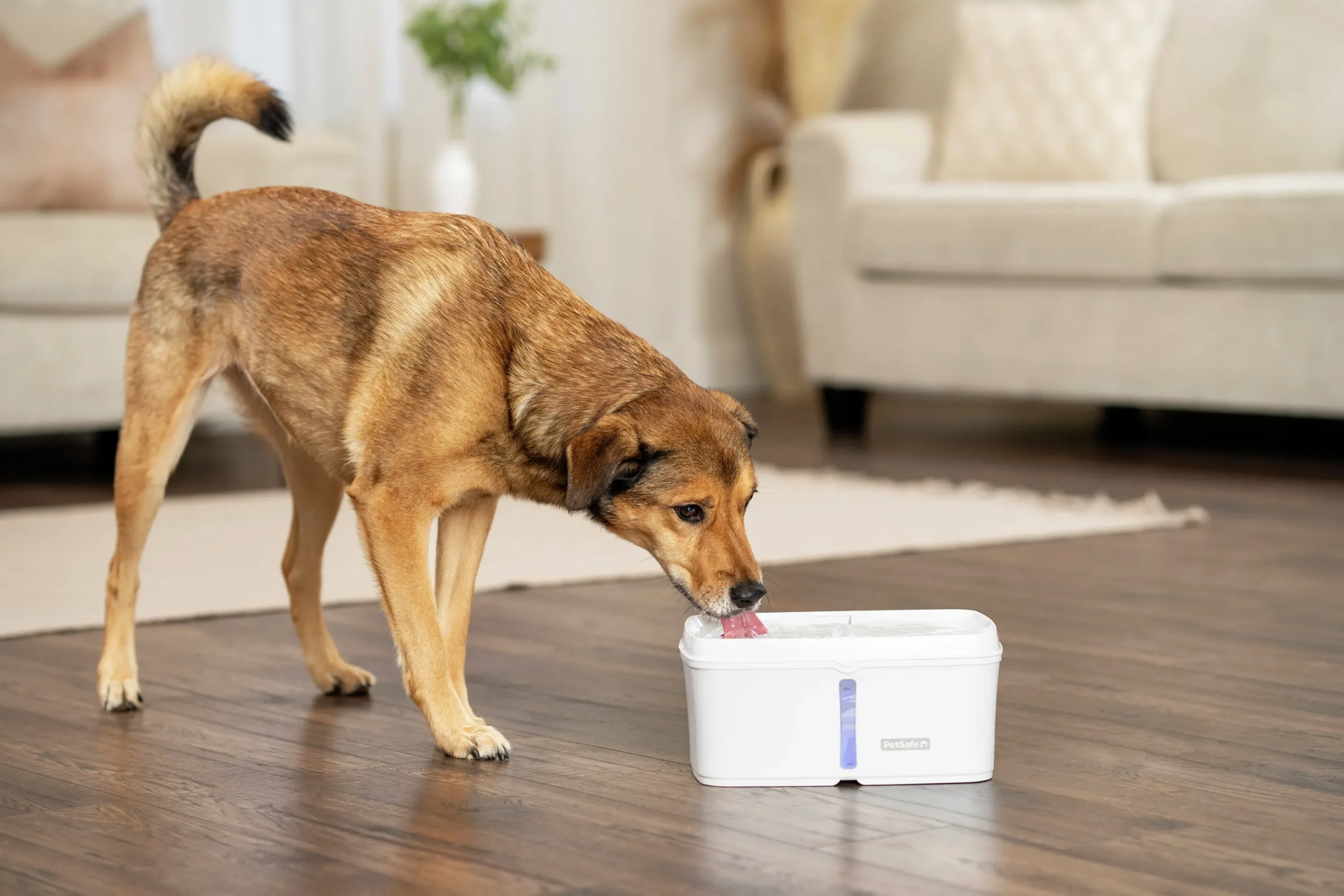 Vattenfontän Viva 4,1L>Petsafe