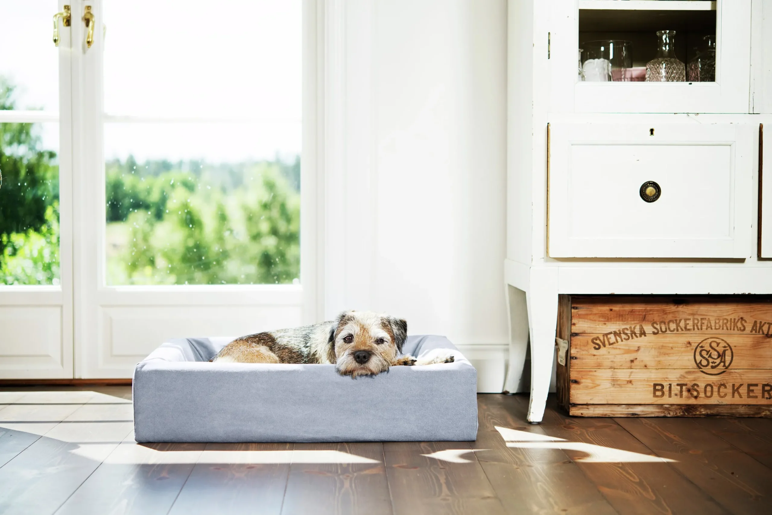 Överdrag Cotton Grå>Bia bed Best