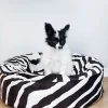 Överdrag Premium Rund Zebra 50cm>Bia bed Clearance