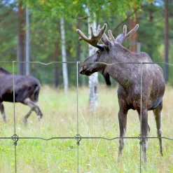 Viltstängsel Häggroth stängsel med S-lock Metall 208cmx50m>Häggroths Stängsel Hot