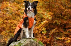 Vintertäcke Pom>Dogman Outlet