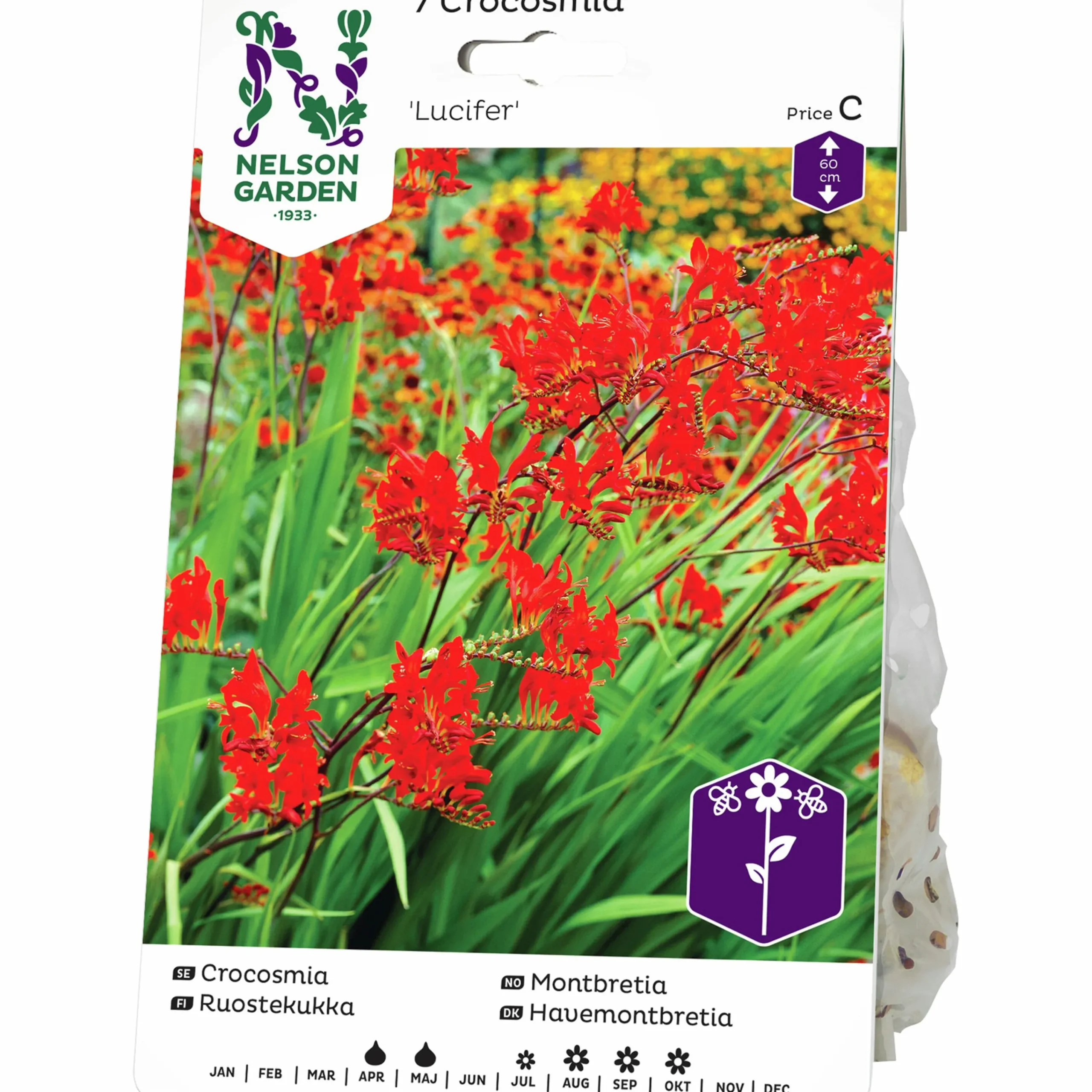 Vårlök Crocosmia Lucifer Rödorange>Nelson Garden Best