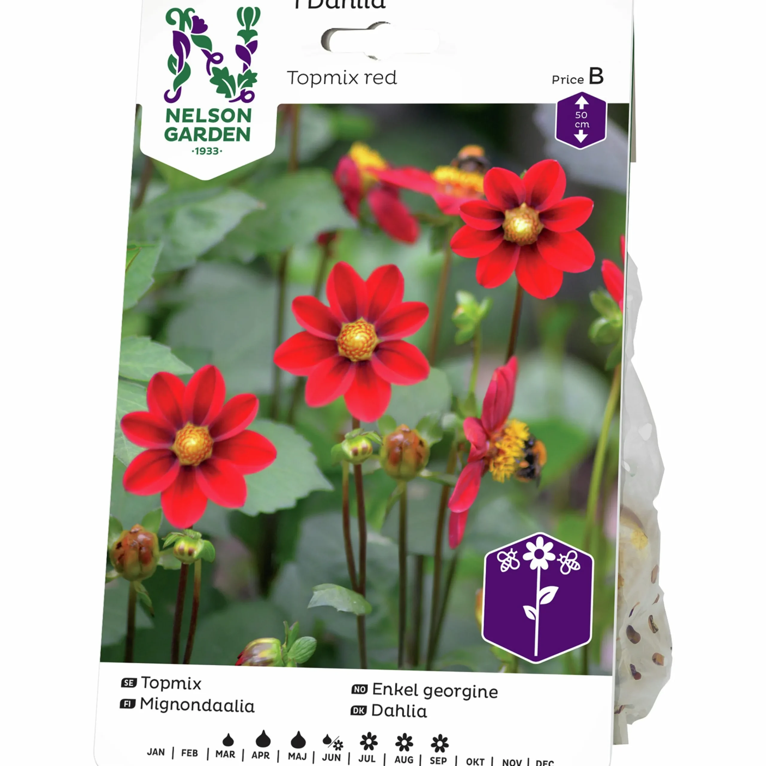 Vårlök Dahlia Enkel Låg Topmix Röd>Nelson Garden Sale