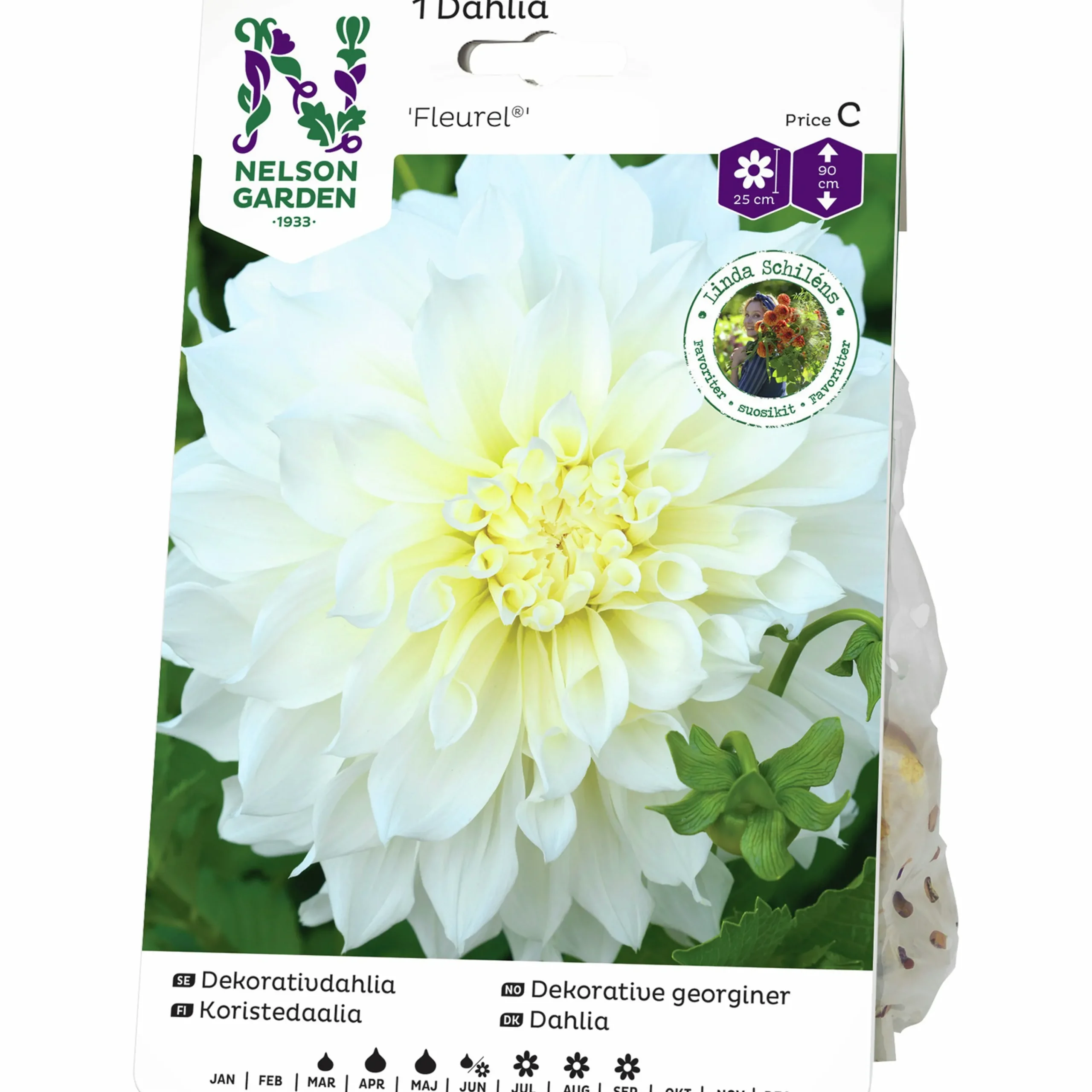 Vårlök Dekorativdahlia Hög Fleurel Vit>Nelson Garden Clearance