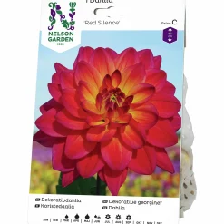 Vårlök Dekorativdahlia Röd Red Silence Röd>Nelson Garden Discount