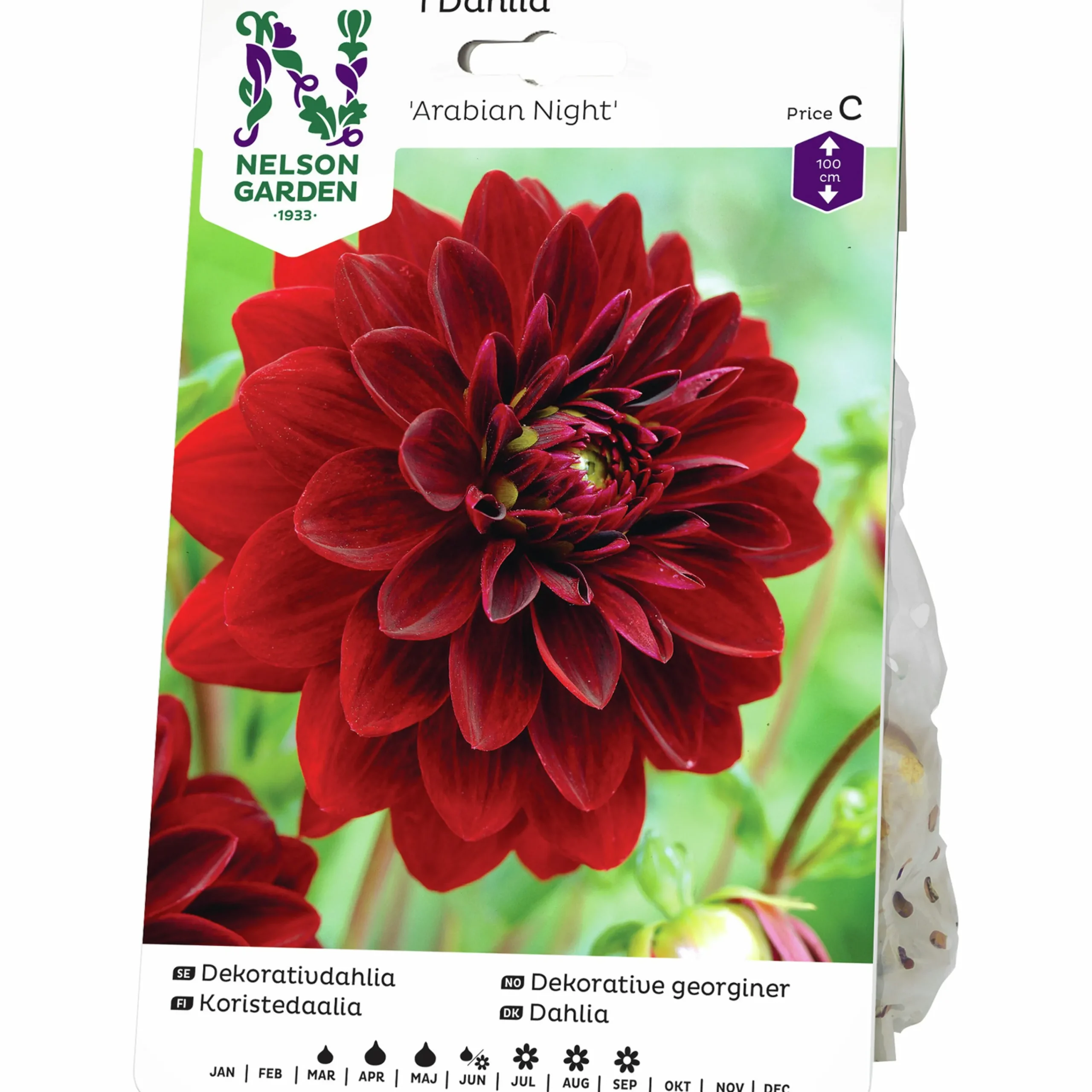 Vårlök Dekorativdahlia Hög Arabian Night Röd>Nelson Garden Online