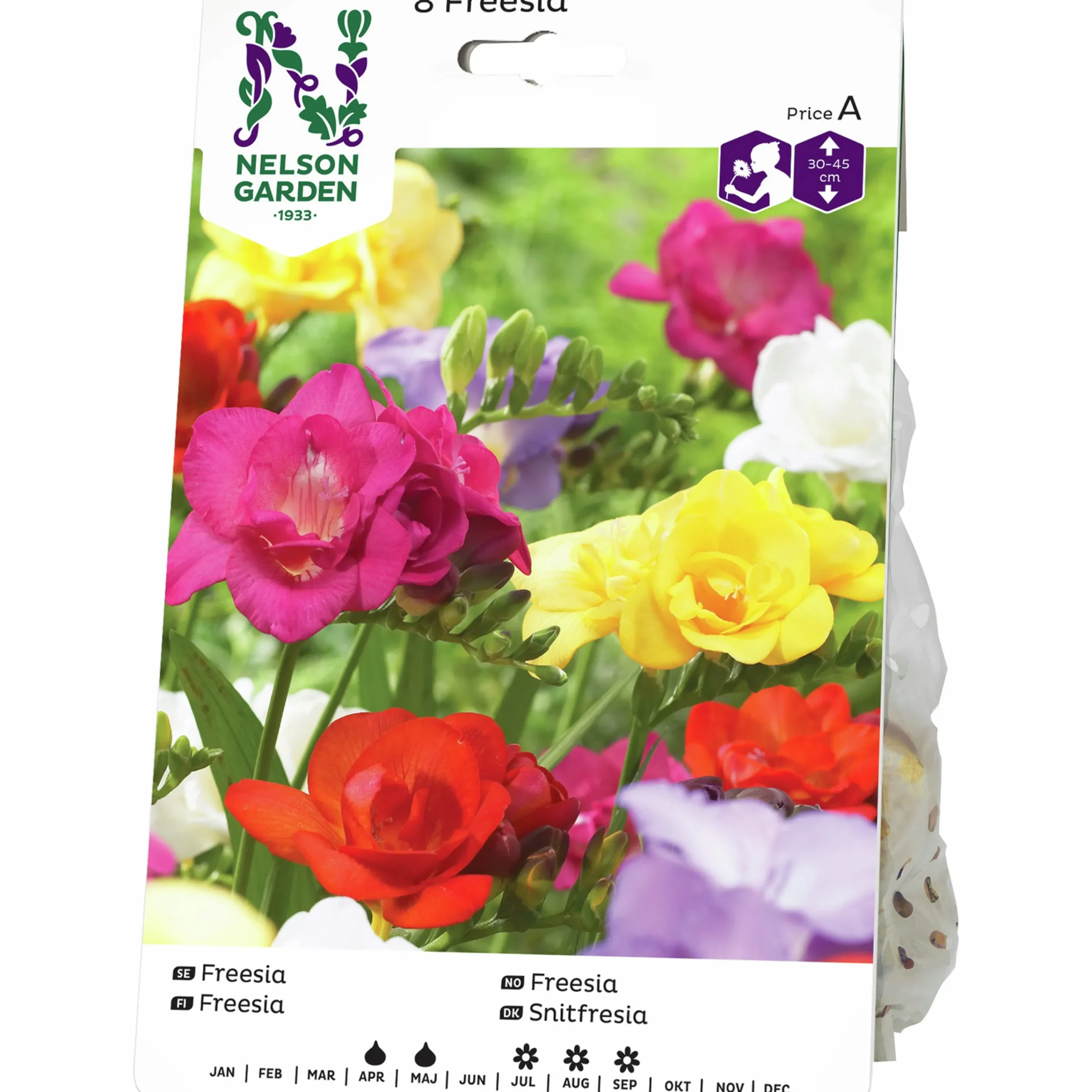Vårlök Freesia Dubbel Blandade färger>Nelson Garden Online