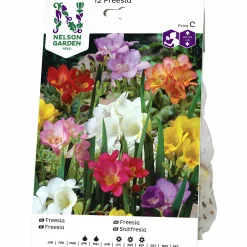Vårlök Freesia Enkel Blandade färger>Nelson Garden Outlet