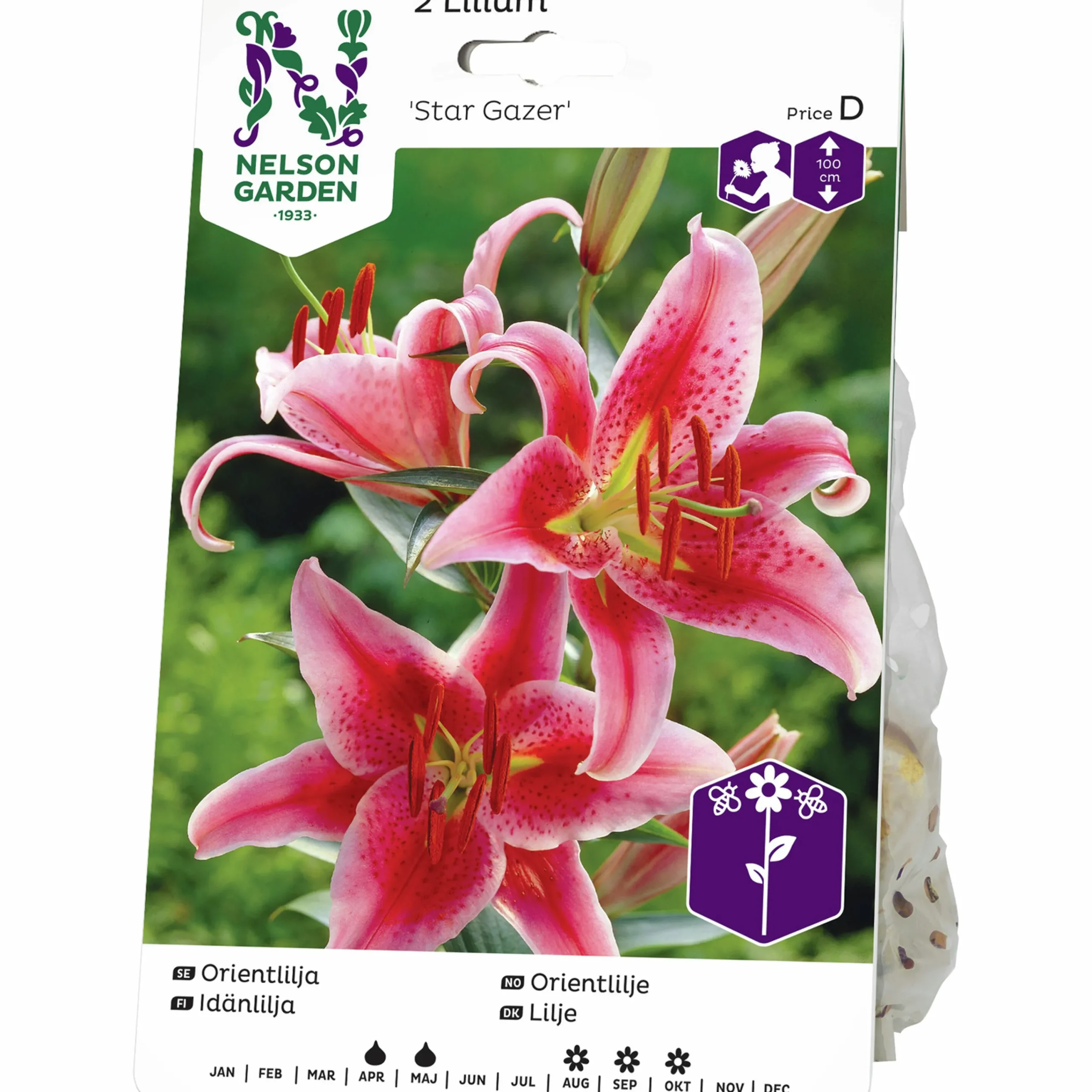 Vårlök Orientalisk lilja Stargazer Rosa>Nelson Garden Online