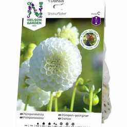 Vårlök Pompondahlia Hög Snowflake Vit>Nelson Garden New
