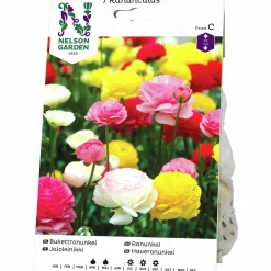 Vårlök Ranunkel Blandade färger>Nelson Garden Online