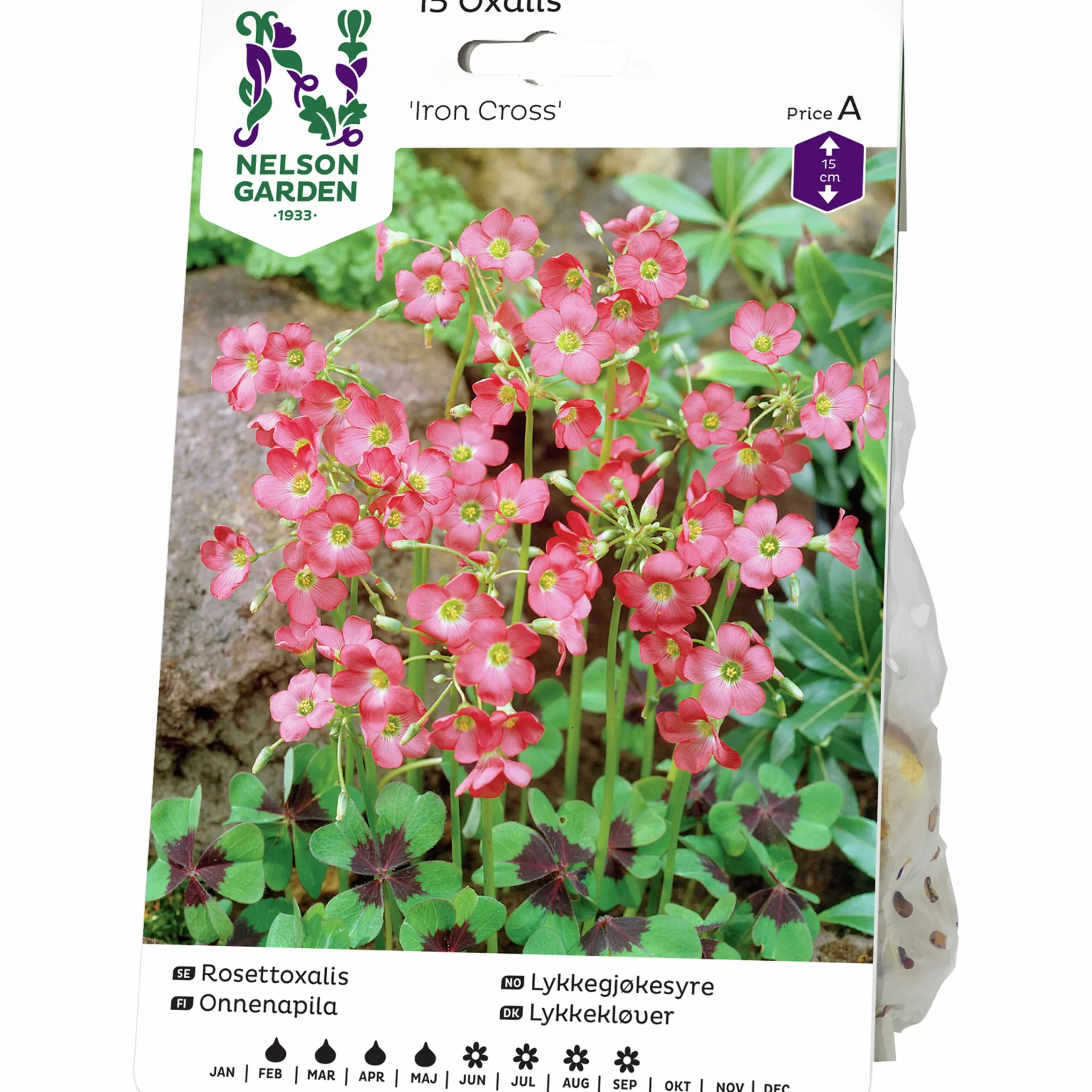 Vårlök Rosettoxalis Iron Cross Rosa>Nelson Garden Best