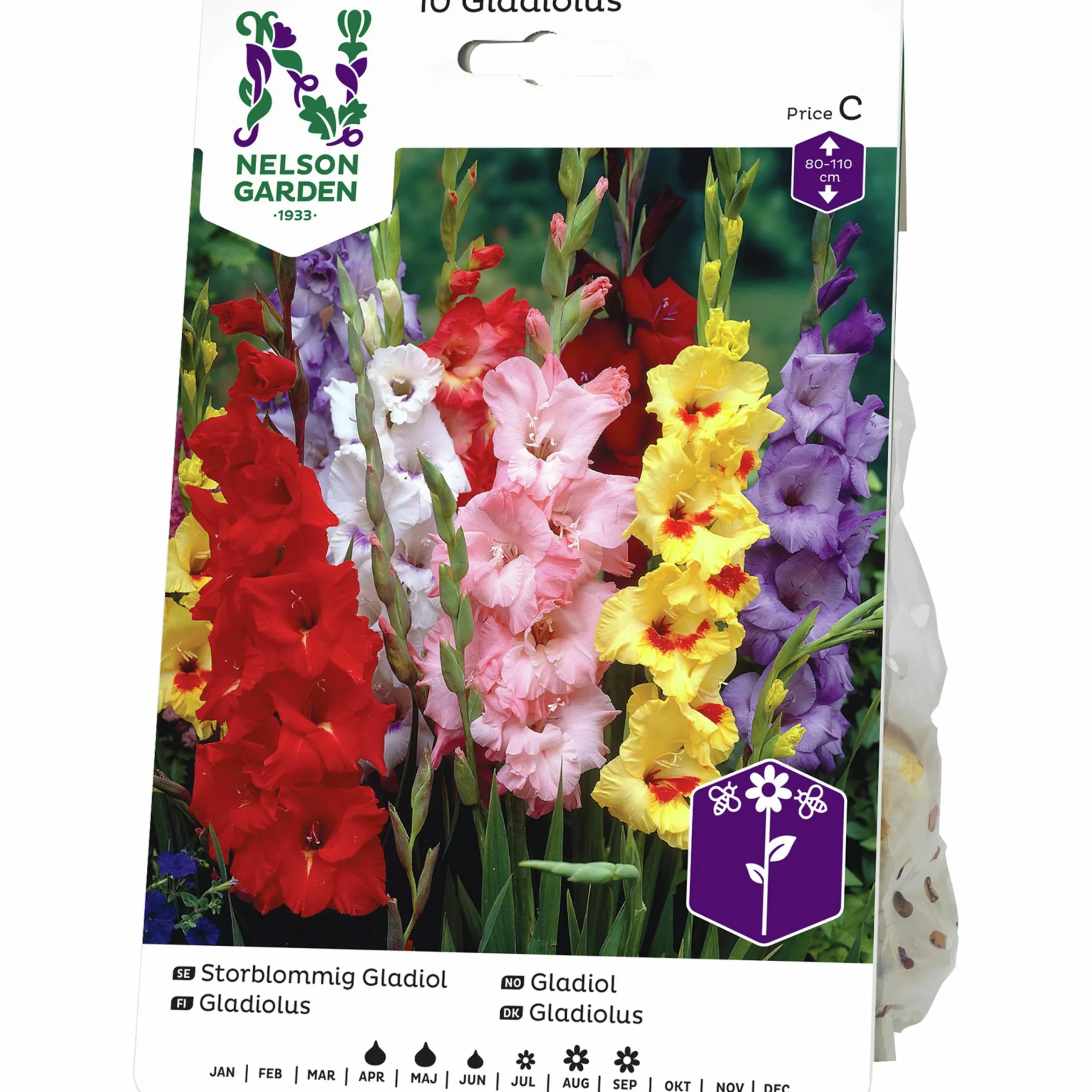 Vårlök Storblommig Gladiolus Blandade färger>Nelson Garden Discount