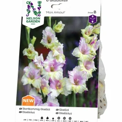 Vårlök Storblommig Gladiolus Mon Amour Vitrosa>Nelson Garden Outlet