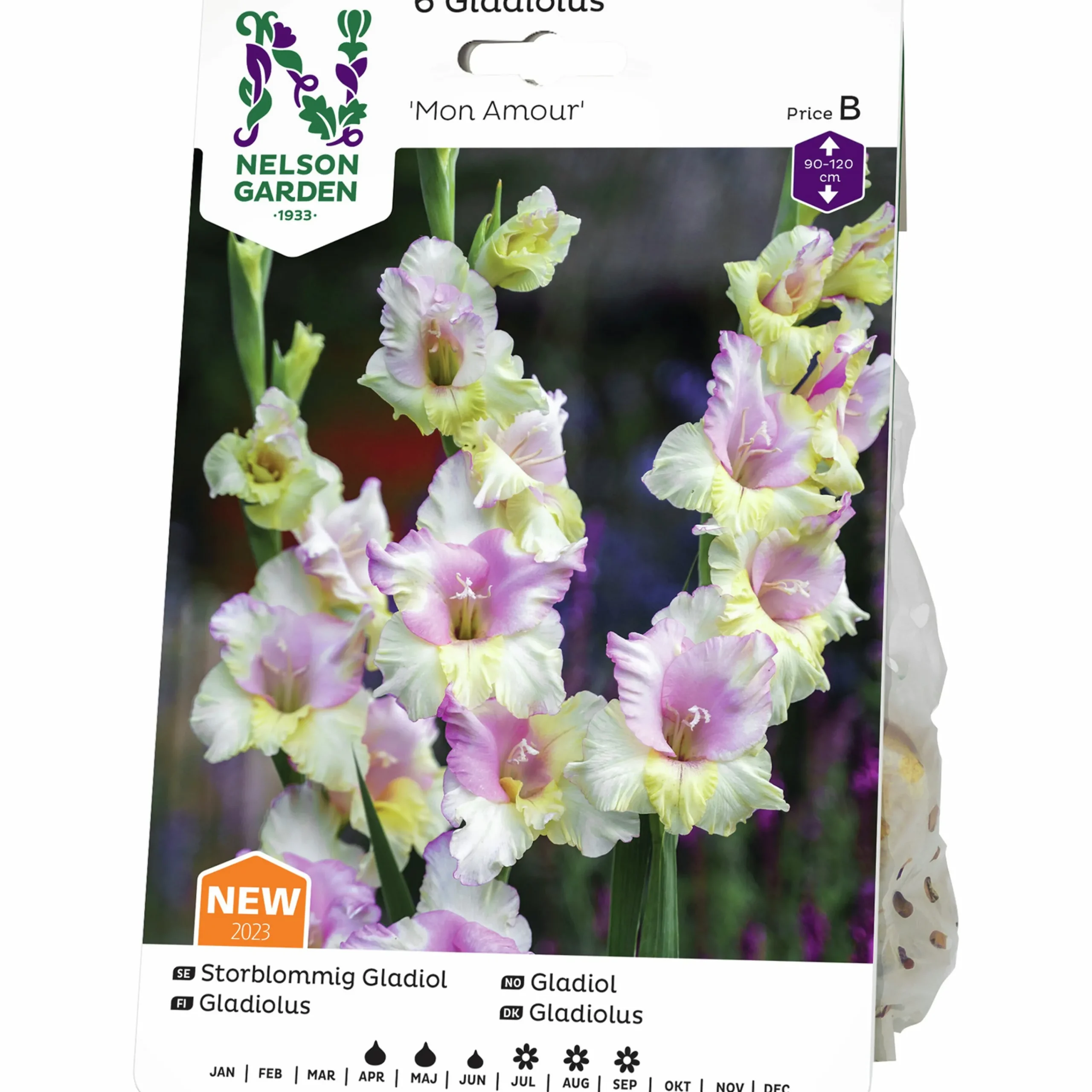 Vårlök Storblommig Gladiolus Mon Amour Vitrosa>Nelson Garden Outlet