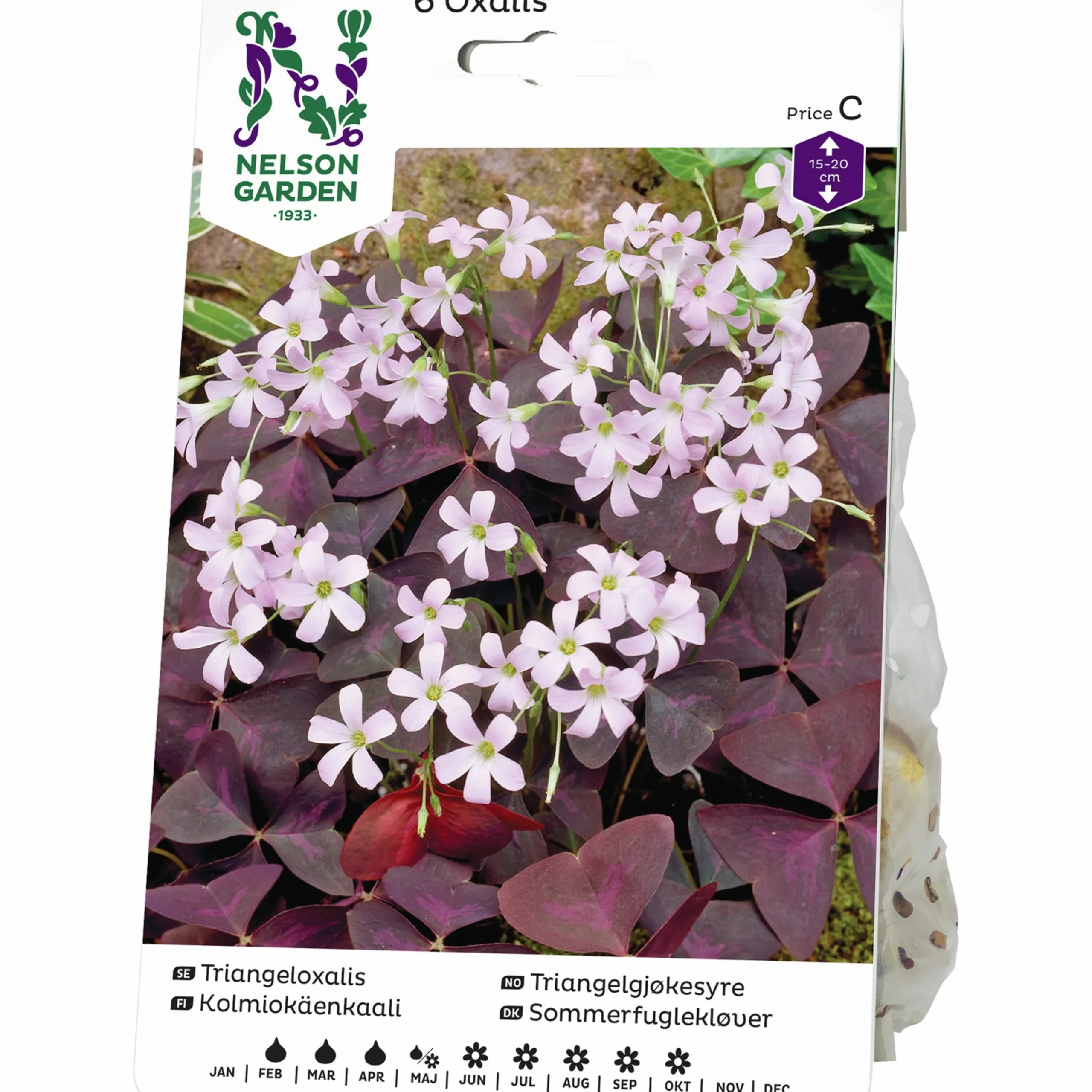 Vårlök Triangeloxalis Rosa/Vinröd>Nelson Garden Sale