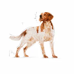 Våtfoder M Adult 10x140g><noscript><img width=