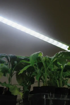 Växtbelysning LED-ramp m adapter No1 23W><noscript><img width=