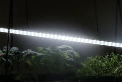 Växtbelysning LED-ramp m adapter No1 23W><noscript><img width=