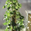 Växtstöd Trä/kokos 90cm>Nelson Garden Best